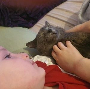 Meet your Posher, Diana